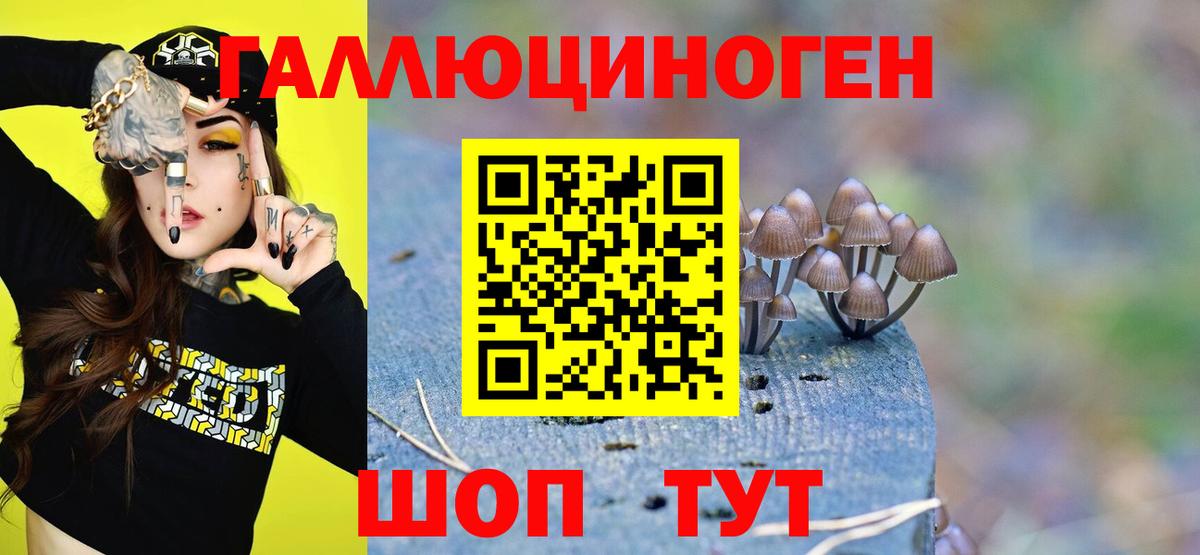 купить  цена  Псилоцибиновые грибы ЛСД  Вход с VPN  Бердск 